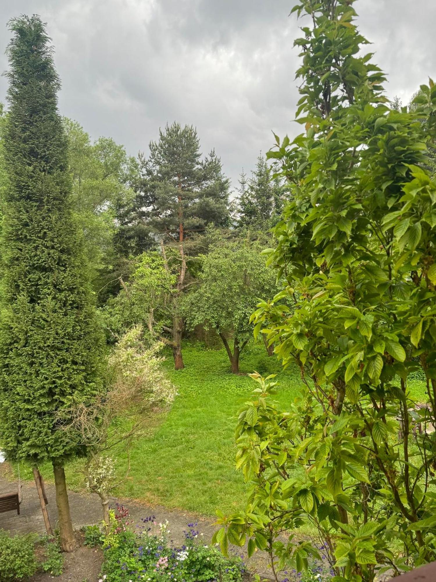 Zielony Zakatek Пеховице Номер фото